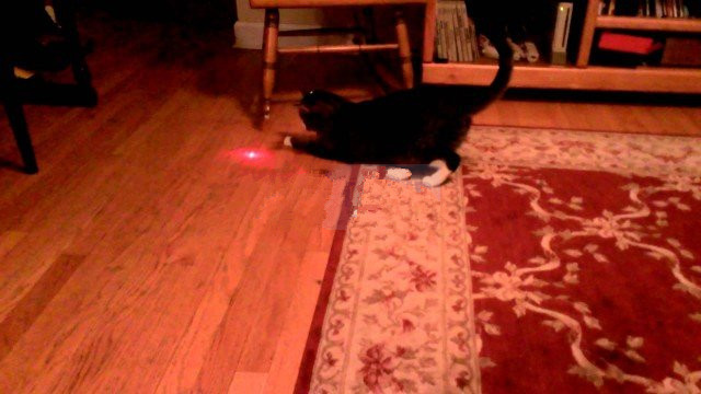 100mw red laser pointers